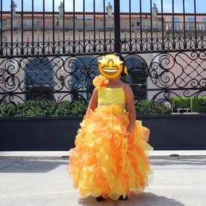 Beautiful princess dress